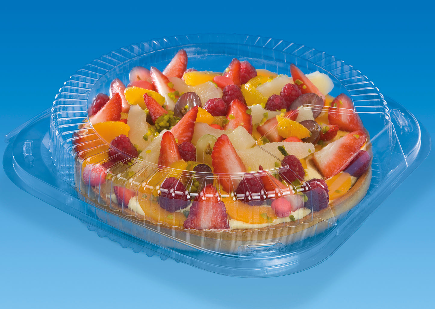 Plastic Hinged Container 265x265x50