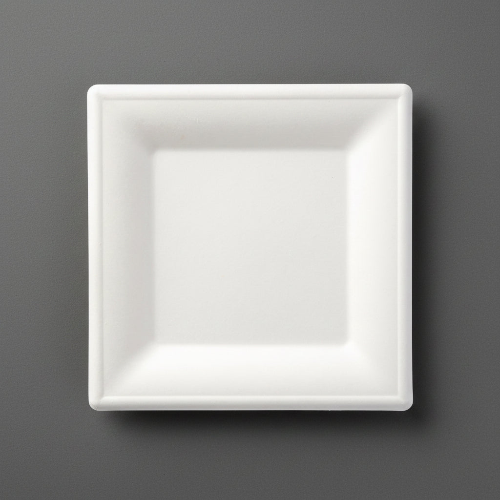 Square Plate 10"