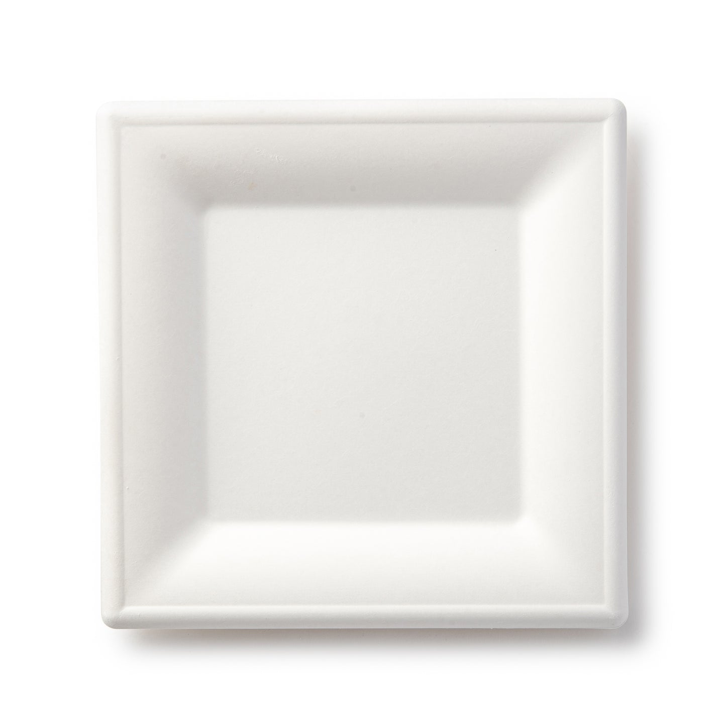 Square Plate 8"