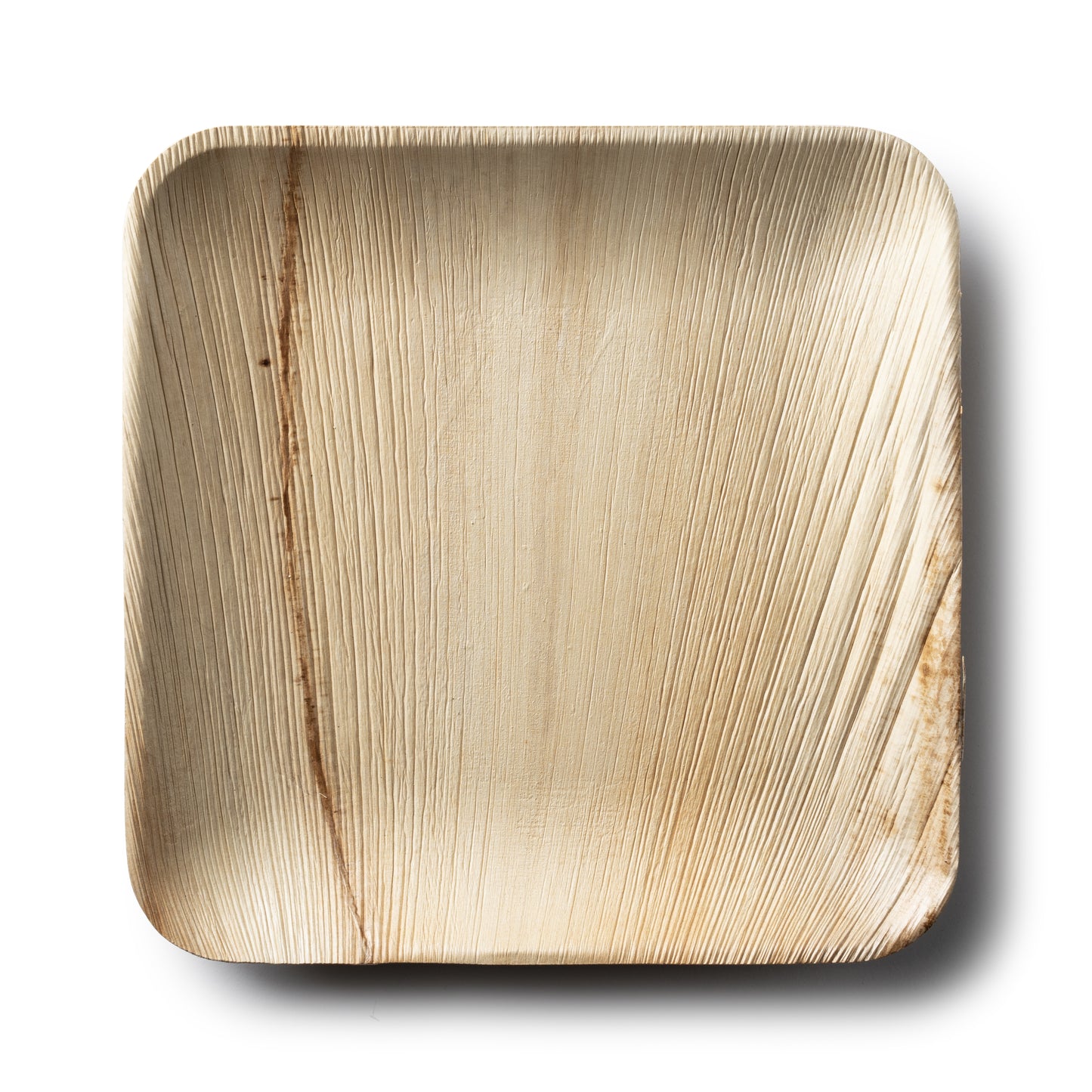 Square Palm Leaf 6" Plates