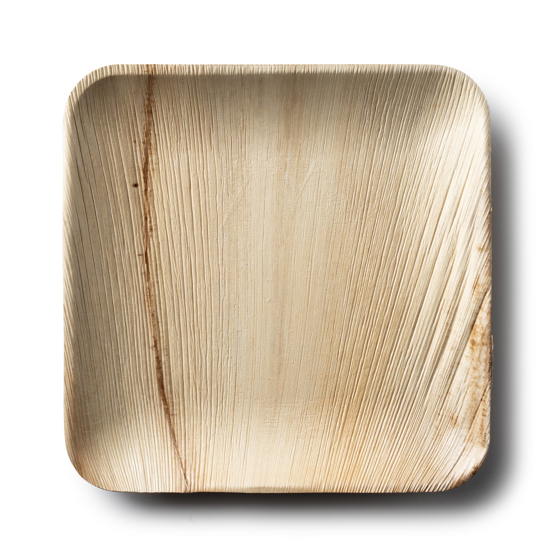 Square Palm Leaf 6" Plates