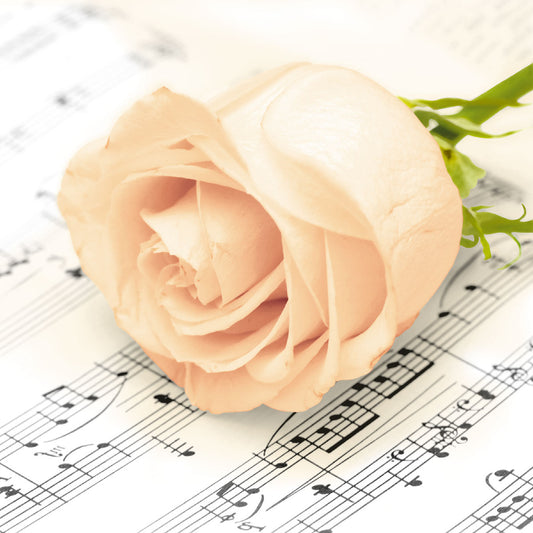 Design Napkins Classic Rose 'Nouveau'