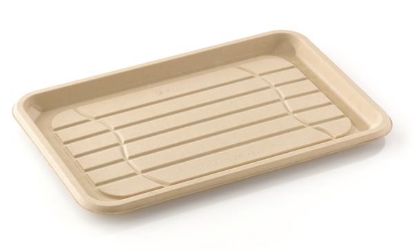 Pulp Rectangular Containers