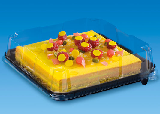 Shallow Lid For Plastic Black Square Tray
