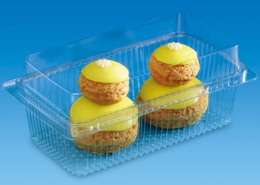 Plastic Hinged Container