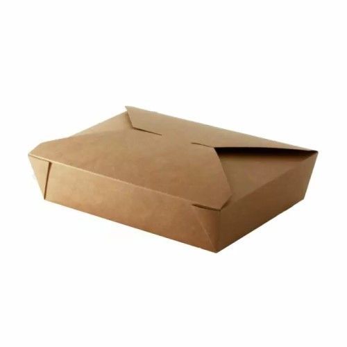 Kraft Flat Food Container #2