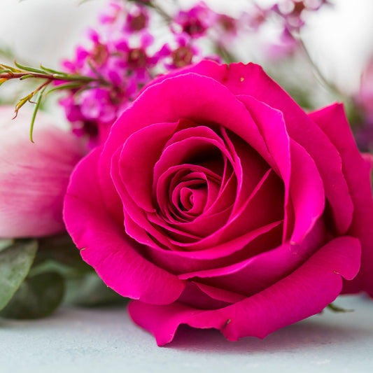Design Napkins Rose Blossom 'Nouveau'