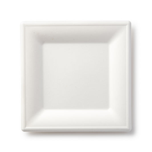 Square Plate 10"