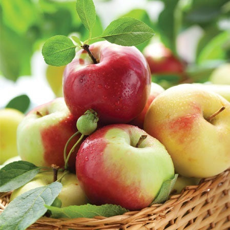 Design Napkins Sunny Apples 'Paw'