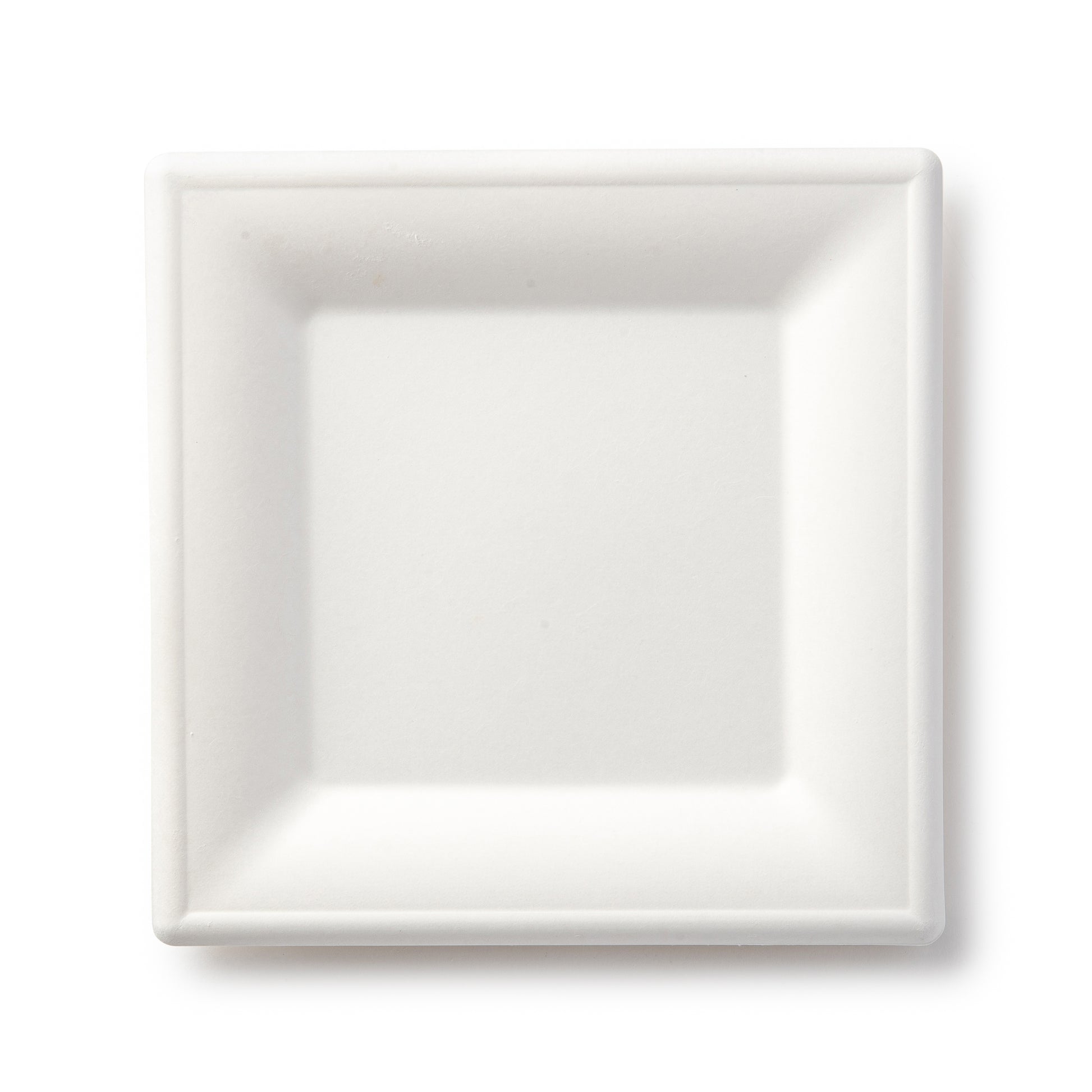 Square Plate 8"