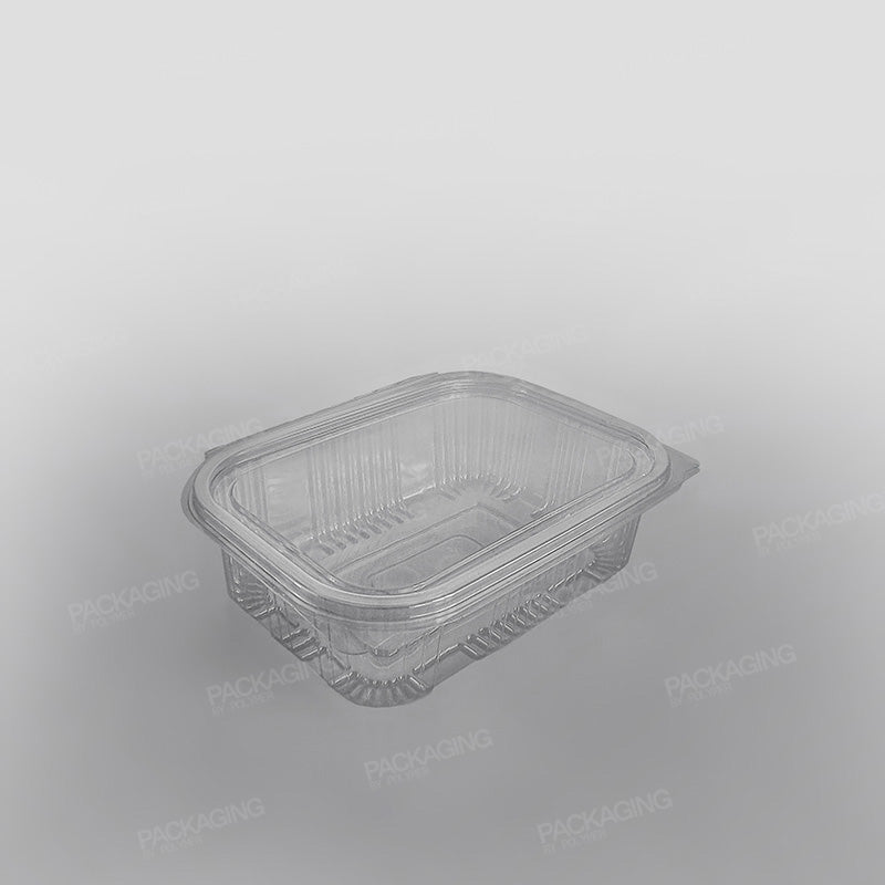 Plastic Clear Rectangular Containers X750L 400/CS