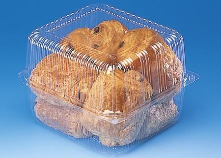 Hinged Plastic Clear Square Containers