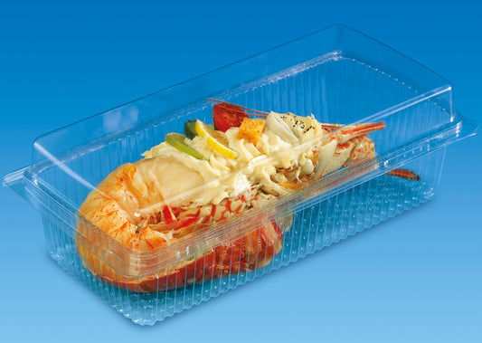 Plastic Hinged Container